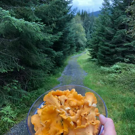 Countryside With Jacuzzi Near Stryn