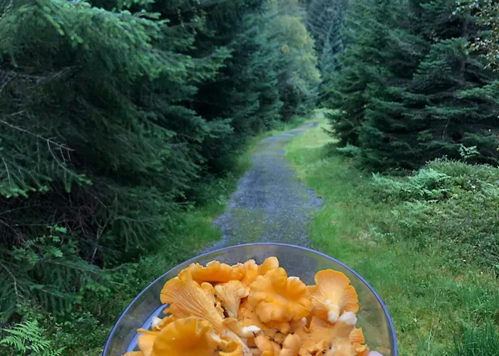 Countryside With Jacuzzi Near Stryn